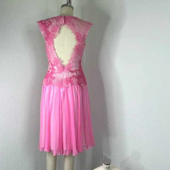 Tadashi Shoji Ines Lace Sheer Floral Open Backless Rose Silk Dress